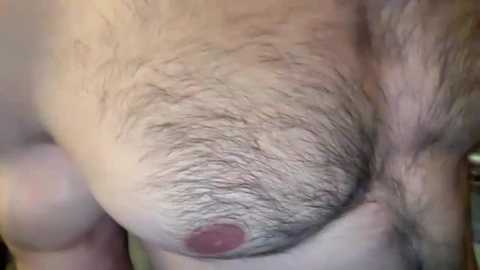 Media: Close-up video of a fair-skinned, hairy male chest with a prominent, erect nipple and a dark, round areola. Background is blurred, focusing attention on the textured, unshaven skin.