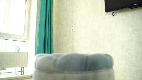 Media: A video of a modern, light-colored bedroom with a white radiator beneath a window with teal curtains. A soft, tufted blue chair is in the foreground, and a flat-screen TV is mounted on the wall to the right.