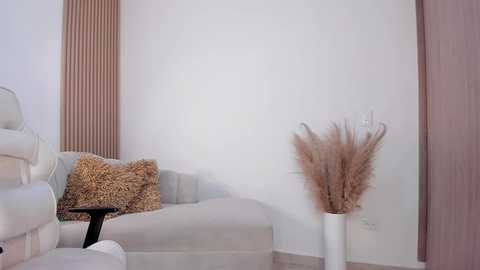 Media: Video of a minimalist living room with beige couch, textured leopard-print pillow, vertical wooden panel, white wall, and tall vase with dried pampas grass.