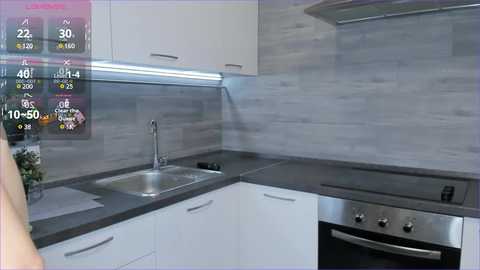 Media: A video of a modern kitchen with a gray countertop, white cabinets, and a stainless steel oven, set against a gray and white tiled backsplash. A digital display shows cooking instructions.