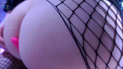 Media: Video of a close-up of a woman's buttocks covered in black fishnet stockings, highlighting the mesh pattern. The background is blurred, focusing attention on the texture and contours of the skin.