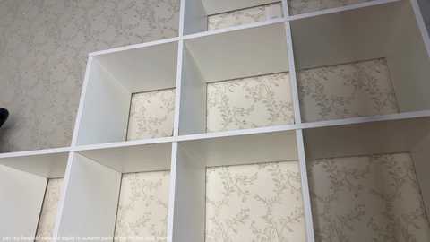 Media: Video of a white, modular storage unit with a light beige floral-patterned wallpaper background. The unit features nine empty compartments, with the upper-left corner showing a partial view of a black object.