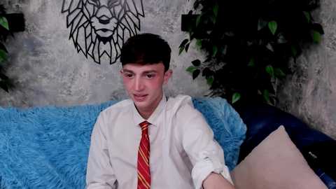 Media: Video of a young man with fair skin, short dark hair, and a red and yellow striped tie, seated on a blue, fluffy couch in a room with a textured gray wall featuring a black lion head stencil.