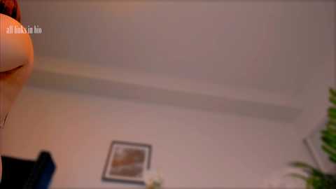 Media: A video of a ceiling with a framed picture, a blurred person, and a green plant in the background. The image has a watermark \"artinlife\" in the top left corner.