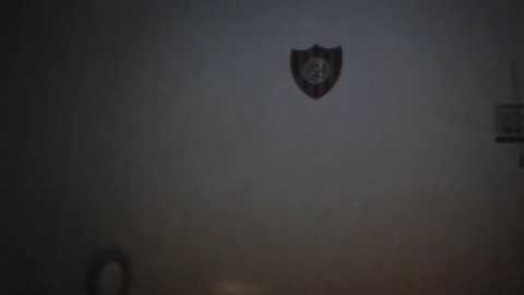 Media: A dimly lit video of a plain, beige wall with a small, dark shield emblem in the center. The background is indistinct, suggesting a sparse, possibly institutional setting.