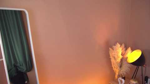 Media: Video of a beige-walled room with a white-framed mirror, green curtain, black lamp, and dried pampas grass on a wooden nightstand.