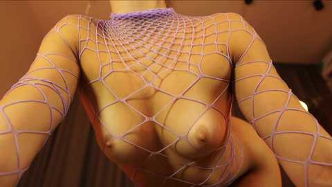 Media: A video of a woman with light skin, wearing a purple fishnet top that exposes her medium-sized breasts and nipples, with a blurred background of a dimly lit room.