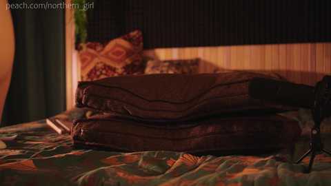 Media: Video of a bed with a dark, patterned duvet, featuring a pair of stacked, brown leather shoes at the foot, and a green pillow with a red floral pattern.