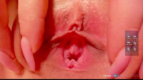 Media: Close-up video of a Caucasian woman's vulva, showing labia minora and clitoral hood, with her hands gently holding the labia apart. Background is blurred.