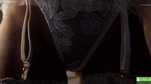 Media: Video of a woman's upper thighs in black lace panties with floral patterns, garter belt, and sheer white stockings, viewed from a close-up angle.