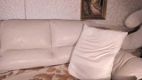 Media: A video of a beige leather sofa with a large white cushion, set against a wallpapered beige wall with a framed nature painting. The floor is covered with a patterned beige and brown rug.