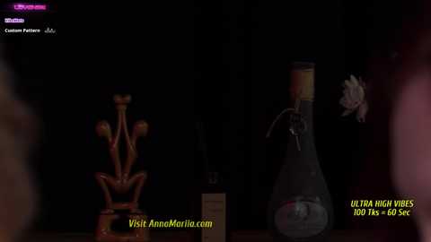 Media: Video of a dark, dimly-lit room featuring a bronze sculpture of a woman, a glass bong, and a stuffed animal head. Text overlays: \"Ultra High Wires for X-6 Sex.\