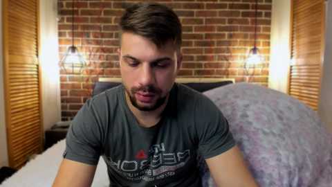 Media: Video of a muscular, bearded man with short dark hair, wearing a gray graphic T-shirt, sitting on a bed with brick wall and wooden blinds in the background.