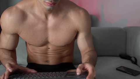 Media: Video of a muscular, shirtless man with fair skin, focused on a laptop, wearing black shorts, in a modern, light-gray couch-filled room with a pink and blue wall.