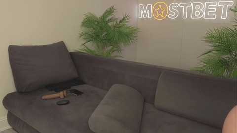 Media: A video of a modern living room with a gray sectional sofa, a remote control, and a small plant against a beige wall.