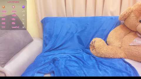 Media: Video of a cozy bedroom scene: a large, plush brown teddy bear with a blue blanket, beige curtains, and a grey pillow on a white bed.