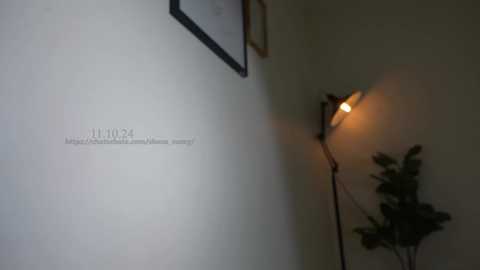 Media: Video of a dimly lit room with a white wall, a framed certificate on the left, a standing lamp emitting warm light, and a potted plant on the right.