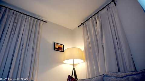 Media: Video of a cozy living room corner with white curtains, a beige lampshade, and a framed picture on a beige wall.