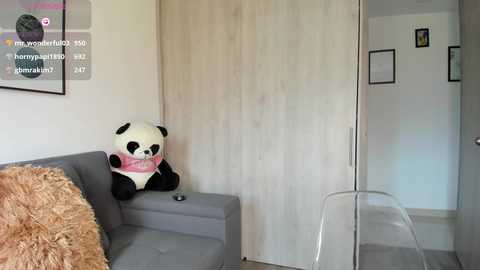 Media: Video of a modern living room with a grey sofa, a plush brown throw pillow, a large stuffed panda, a clear acrylic chair, and a wooden wardrobe in the background.