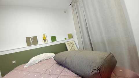 Media: Video of a minimalist, modern bedroom with a green wall, white trim, beige curtains, and a pink quilted bedspread. The room features abstract art and a single pillow.