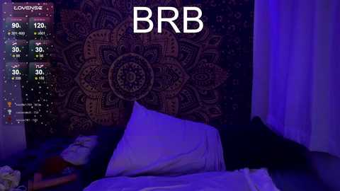 Media: Video of a dark-haired person, partially visible, lying in a bed with white sheets, illuminated by a purple light. The background features a mandala tapestry and a digital clock displaying \"BBR\" and \"BBR\" on a screen.