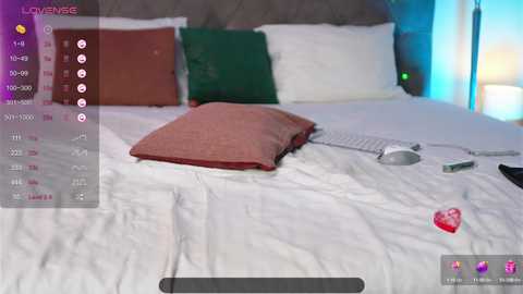 Media: Video of a modern bedroom with a white bed, two pillows in green and brown, a red pillow, and a laptop on the bed. A heart-shaped candy lies on the floor.