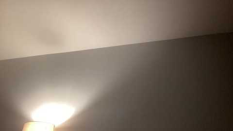 Media: Video of a dimly lit room with a soft, warm light emanating from a lamp in the lower left corner, casting a gentle glow on a plain, beige wall.