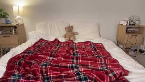 Media: Video of a cozy bedroom with a plush teddy bear on a white bedspread, a red plaid blanket draped over it, two wooden nightstands with lamps, and a minimalistic, clean aesthetic.