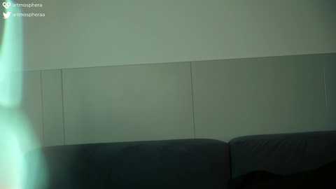 Media: Video of a dark green sofa against a light beige wall, featuring a watermark reading \"wormpahra\" and a faint ghostly figure in the background.