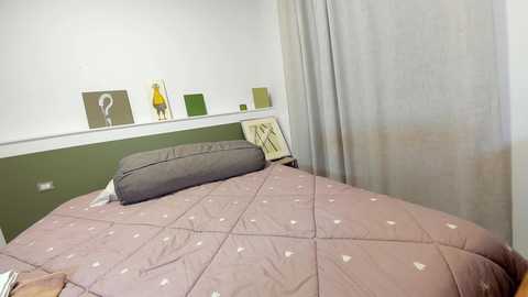 Media: Video of a minimalist bedroom with a beige quilted bedspread, a gray pillow, and a green wall. Artwork and a gray curtain are visible in the background.