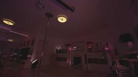 Media: A dimly-lit, spacious room with an industrial feel, featuring three large circular lights, a tall pole lamp, and shelves with various objects. The background is covered in a pinkish hue.