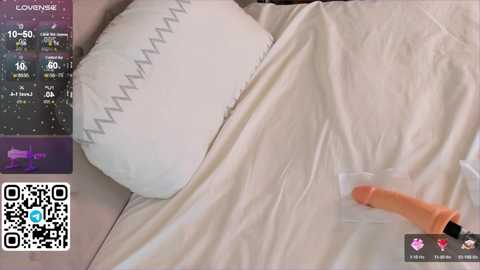 Media: A video of a white pillow and beige sheets, with a realistic, pink vibrating dildo inserted into the sheets. QR code and digital text overlay on the left.