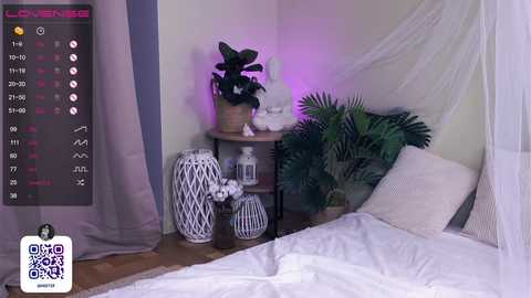 Media: Video of a cozy, modern bedroom with a white canopy bed, green plants, white ceramic vases, and a wooden nightstand.