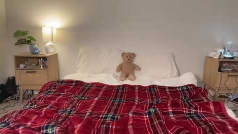 Media: Video of a cozy bedroom with a teddy bear on a white bed, red plaid blanket, and wooden nightstands with lamps and plants.