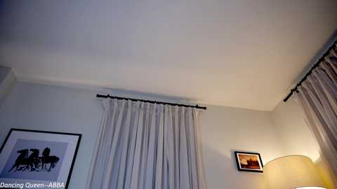 Media: Video of a modern, minimalist hotel room with a white ceiling, beige walls, and a large window with light grey curtains. The room features a framed art print of a black bear and a bedside lamp emitting a soft, warm glow.