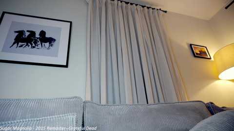 Media: A video of a modern living room with light gray couch, beige curtains, framed black-and-white horse painting, and warm-toned lamp.