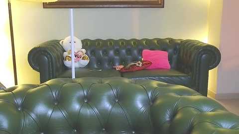 Media: Video of a vintage green leather tufted sofa with a plush teddy bear and a pink pillow, set against a pale yellow wall, featuring a small framed picture.