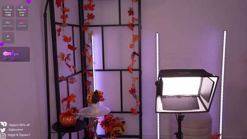 Media: Video of a minimalist room with a black folding screen adorned with orange and red leaves, a small table with a pumpkin, and a white stool. A white backdrop is illuminated by a bright light.