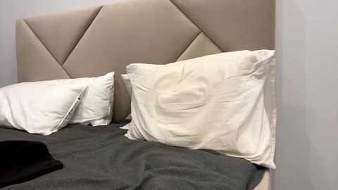 Media: Video of a modern, minimalist bedroom with a beige, diamond-patterned upholstered headboard and two white pillows on a gray bedspread. The room's walls are light gray.