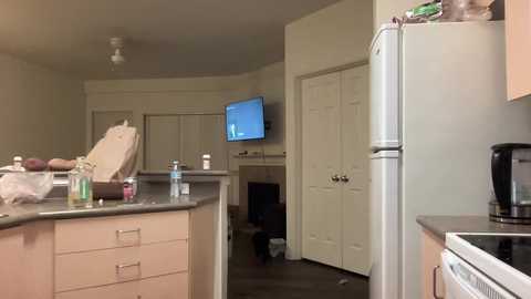 Media: A video of a cluttered, beige kitchen with a white refrigerator, countertop clutter, open cabinets, and a mounted flat-screen TV.