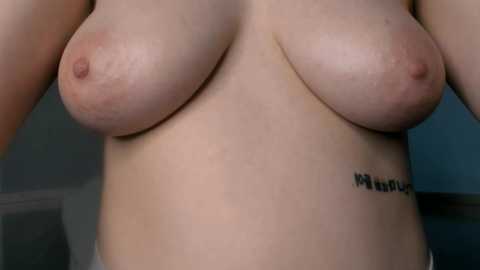 Media: Video of a topless light-skinned woman with medium-sized, perky breasts and erect nipples. Her left hip has a tattoo reading \"Mama's girl.\" Background is a blurred, dark blue wall.