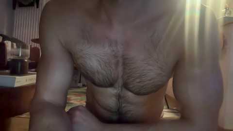 Media: A video of a shirtless man with a muscular chest and hairy torso, leaning forward with arms on a table. Background includes a lamp, books, and a radiator.