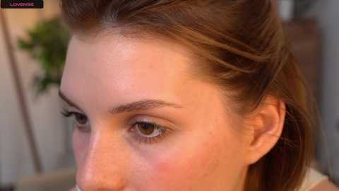 Media: Close-up video of a fair-skinned woman with brown hair, showing her eye and brow, in a softly lit room. She has well-defined eyebrows and a slight blush on her cheek.