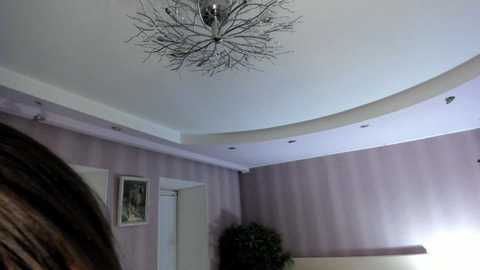 Media: Video of a modern, circular hallway with light purple striped walls, a white ceiling, a large leafy plant, and a contemporary chandelier.