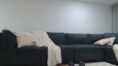 Media: Video of a modern living room featuring a dark gray sectional sofa with beige throw pillows and a cream blanket. The room has a minimalist style with white walls and gray curtains in the background.