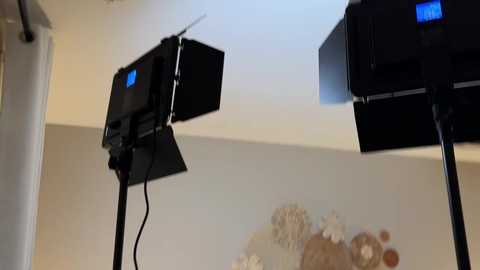 Media: Video of two black, professional lighting stands with blue LED lights mounted on beige walls, showcasing a decorative mural featuring abstract shapes and flowers.