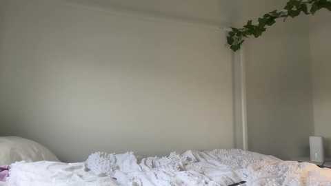 Media: A video of a minimalist, softly lit bedroom with a white bed adorned with white knit blankets, a small white lamp on the nightstand, and a green leafy vine on the wall.