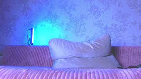 Media: Video of a dimly lit room with a soft, blue-tinted glow. A white pillow sits on a pink, ribbed couch against a light blue wallpaper with subtle floral patterns. An LED strip light illuminates the background.