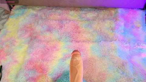 Media: A video of a person's erect penis and testicles resting on a pastel-colored, shaggy rug with a rainbow gradient. The background is a soft, beige cushion. The image is bright and colorful, highlighting the texture of the rug and the smooth skin of the genitals.