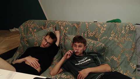 Media: Video of two teenage boys, one asleep on a floral-patterned couch, the other watching TV, wearing a dark t-shirt.